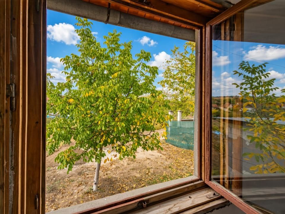 Casă de vânzare în Buziaș | 1.617 mp teren | 85.000 € – fotografia 8 din 13