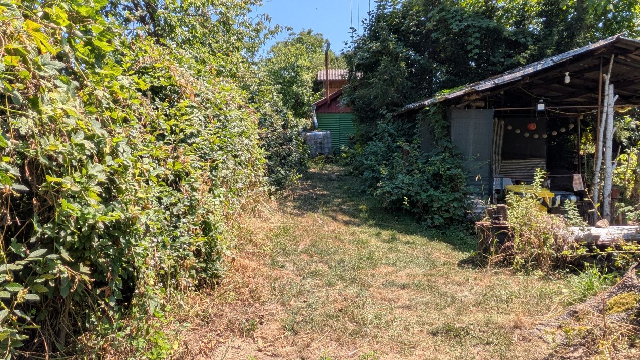 Teren intravilan Tocile, 1.093 mp / livadă, cabană, rulotă și o toamna frumoasă! – fotografia 24 din 37
