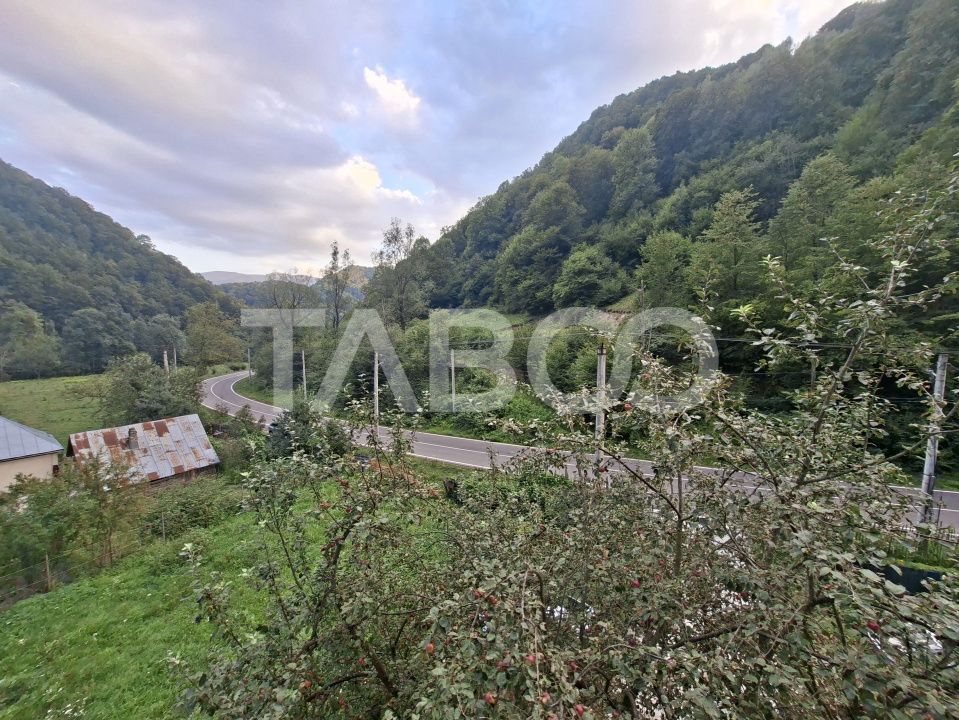 Spatiu de vanzare in Valea Macesului judel Valcea iesire la Lotru – fotografia 42 din 49