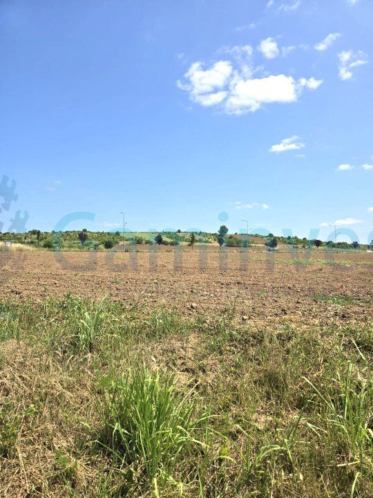 Teren intravilan de 4500 mp in zona industriala Episcopia,Oradea, Bihor – fotografia 1 din 1