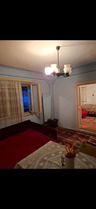 Casă în Cricău cu 1.375 mp teren, anexe, utilități, vie și livadă - Oportunitate – fotografia 39 din 54