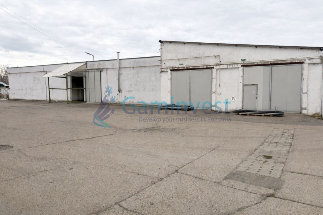 Hala industriala de inchiriat in Oradea, productie sau depozitare,Calea Borsului – fotografia 3 din 4