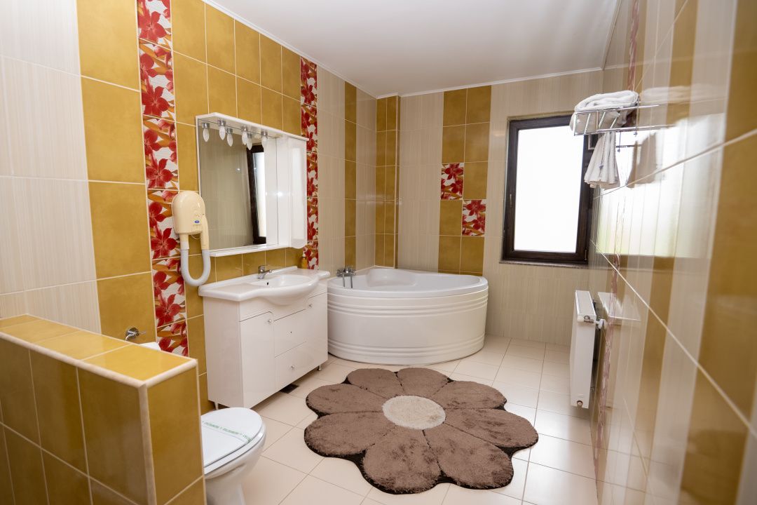 Hotel Miky Arad de vanzare | Investitie cu utilizari multiple | 42 camere cazare – fotografia 32 din 66