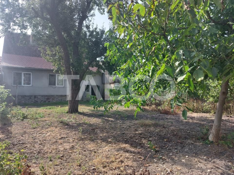 Casa si curte individuala 2 corpuri de casa separate 4 camere gradina – fotografia 1 din 25
