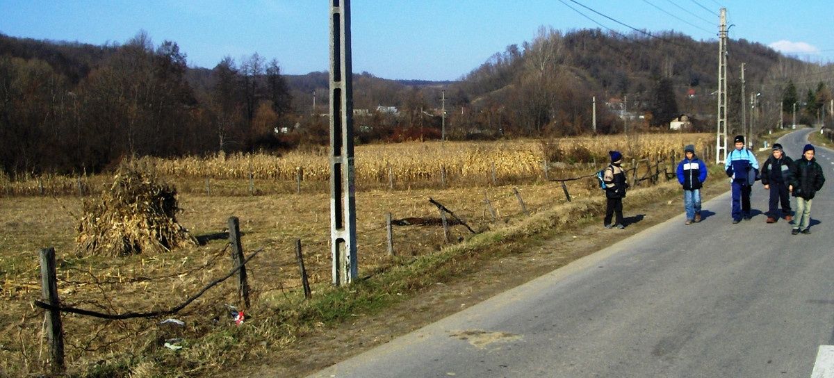Teren intravilan 21.000 mp de vânzare – Suseni, Comuna Bogați, Județul Argeș – fotografia 8 din 16