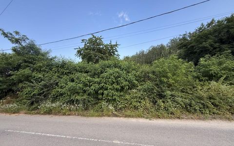 Teren 1963 mp de vânzare în Topoloveni | Zonă liniștită și aerisită