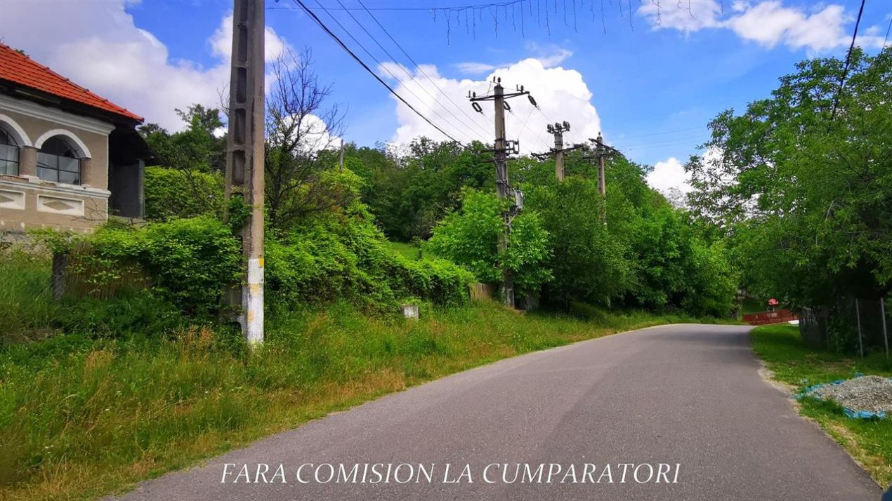 TEREN 19.822 MP CADRU NATURAL MINUNAT – fotografia 17 din 24