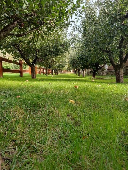 Vilă exclusivistă de vânzare în Iași – 450 mp utili și teren de 2.000 mp – fotografia 3 din 23