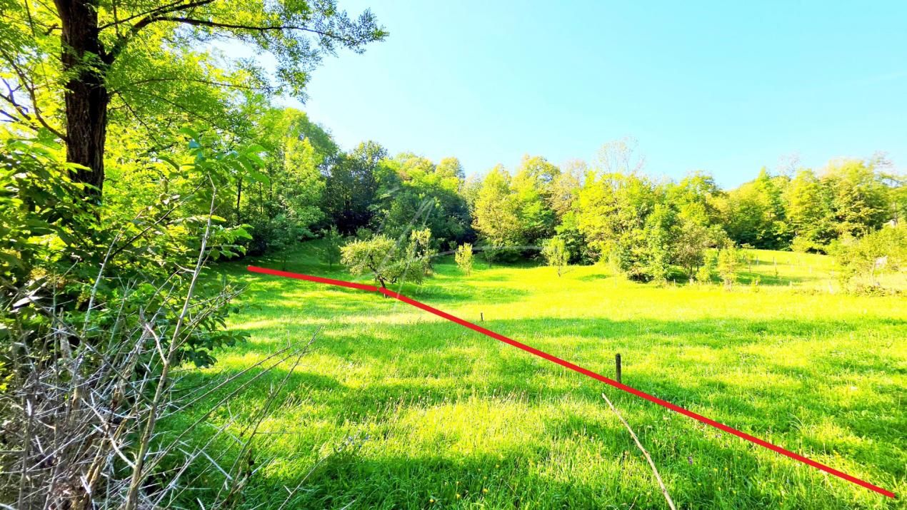 TEREN IN SUPRFATA DE 2870 MP IN PROVITA DE SUS VALEA BRADULUI JUD PRAHOVA – fotografia 12 din 16