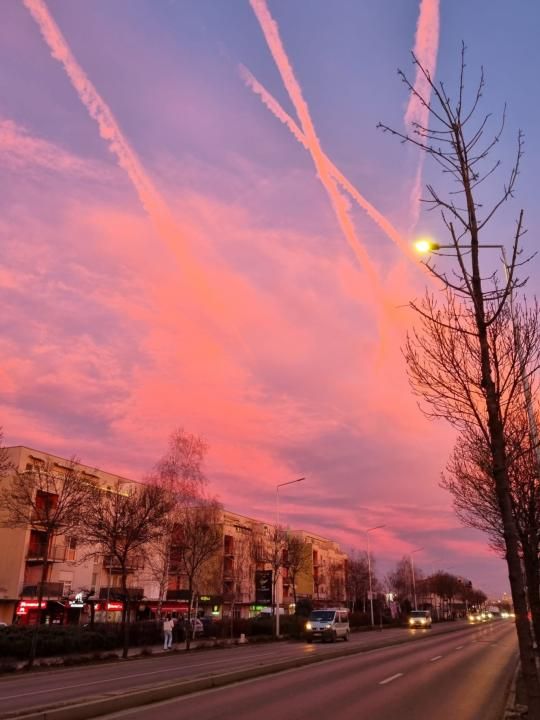 Vilă modernă în Chitila, lângă Lacul cu Nuferi,  3 dormitoare, curte proprie, – fotografia 16 din 18