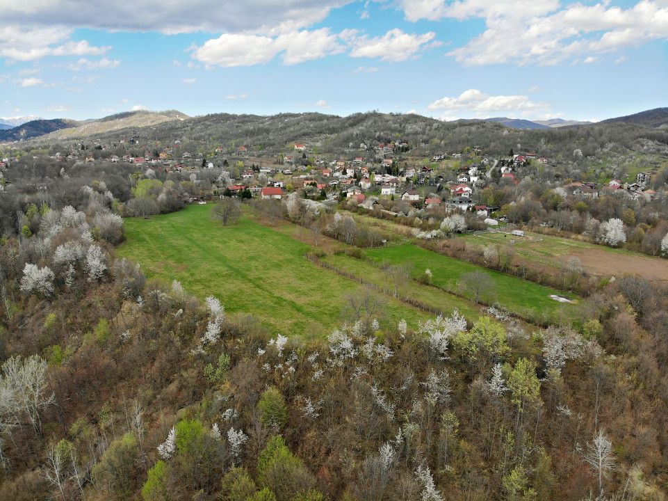 Mountain Plateau - 23.345 SQM - Exclusive Estate | Jud Prahova - Valea Prahovei – fotografia 2 din 10