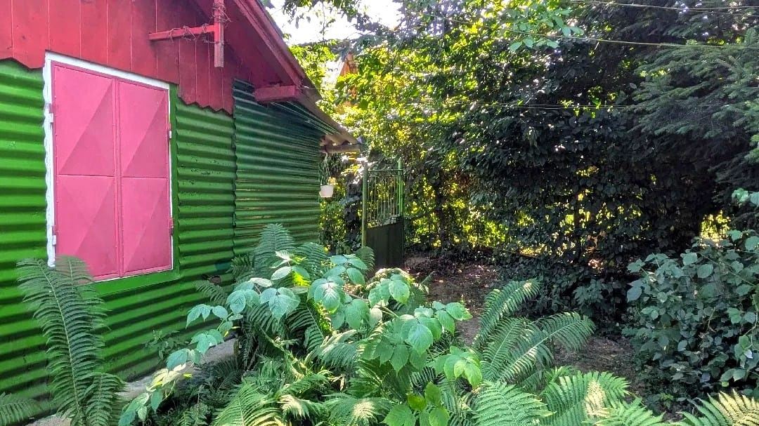 Teren intravilan Tocile, 1.093 mp / livadă, cabană, rulotă și o toamna frumoasă! – fotografia 27 din 37