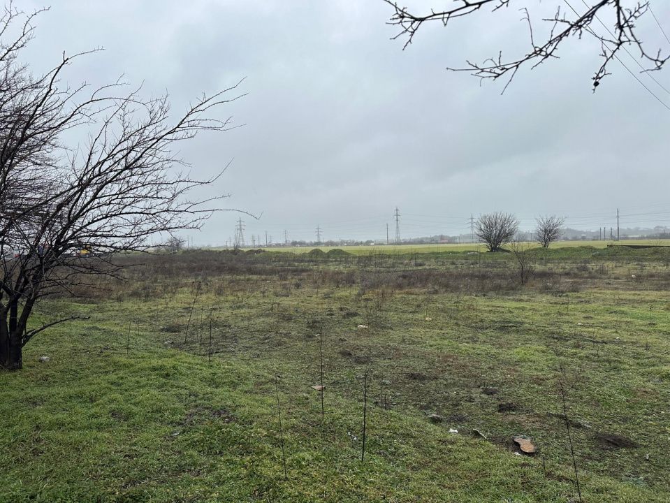 Teren extravilan de vanzare | 21.200 mp | Lumina | Oportunitate de investiție – fotografia 3 din 9