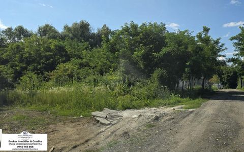 Teren intravilan 670 mp – Viforâta, com. Aninoasa, jud. Dâmbovița