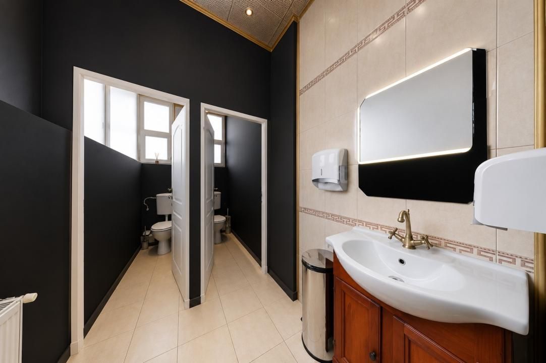 Spațiu comercial ultracentral, 246 mp - P-ta Cipariu – fotografia 8 din 11