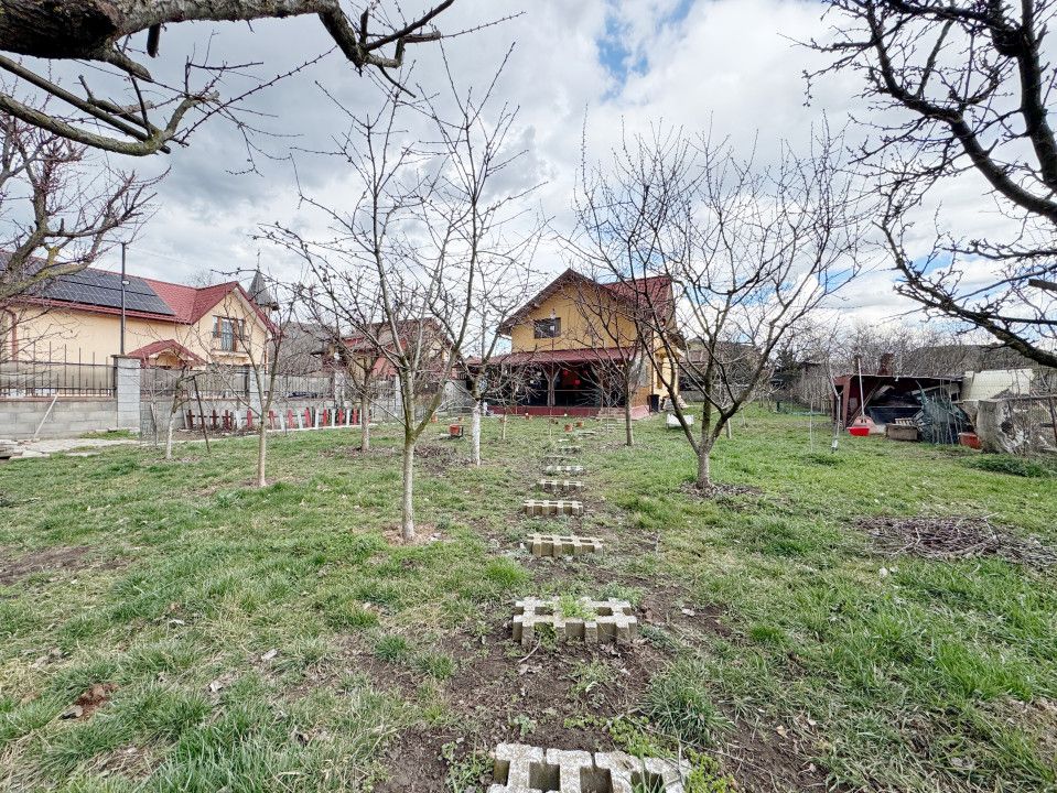 Casa individuala cu 5 camere, 836 mp teren - Sanandrei – fotografia 4 din 21