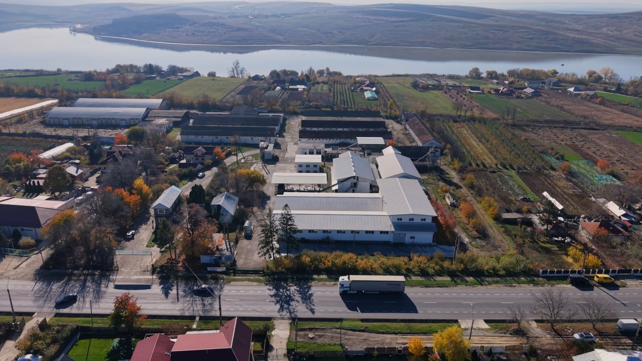 Complex Agroindustrial – Stație Uscare | Condiționare | Depozitare Seminte – fotografia 6 din 31