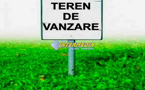 Teren intravilan de vanzare 3557 mp d=20.5 Alba Micesti ideal investitie