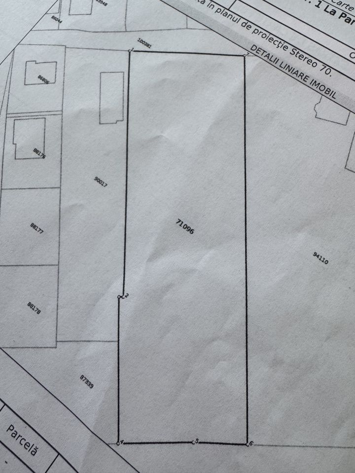 TEREN INTRAVILAN 4.600 MP - ZONA LEONI - OPORTUNITATE DE INVESTIȚIE – fotografia 5 din 5