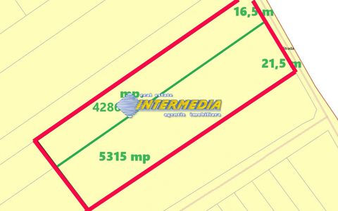 Vanzare 5315 mp Teren Intravilan Soseaua de Centura Alba aproape de autostrada