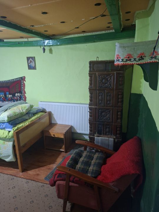 Casă în Cricău cu 1.375 mp teren, anexe, utilități, vie și livadă - Oportunitate – fotografia 52 din 54