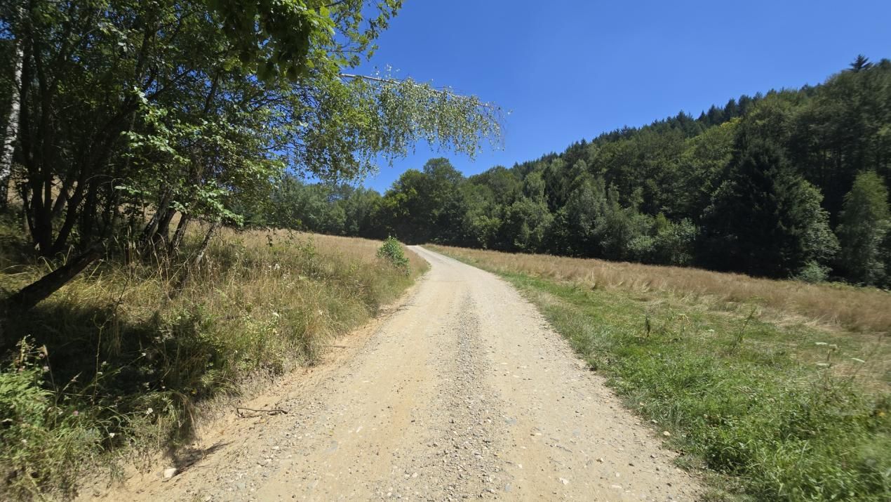 De vânzare teren de 36.200 mp teren în Poiana Mărului – fotografia 6 din 9
