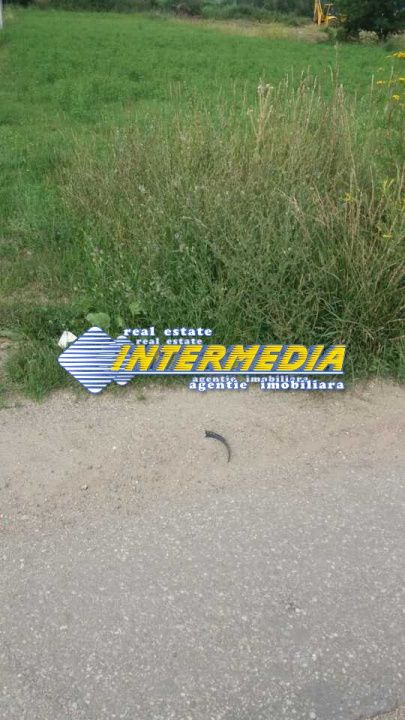 Teren de vanzare in Oarda, zona Ses la sosea 2000 mp – fotografia 2 din 4