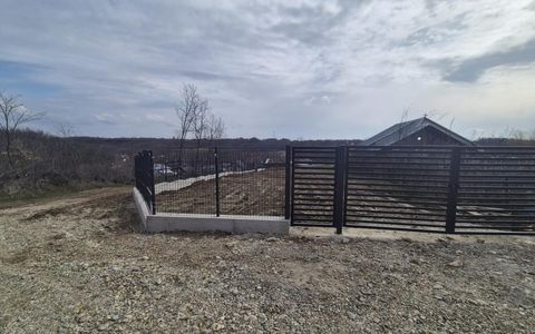 Teren 1.500 mp lângă pădure, Albota – liniște, natură și potențial de parcelare
