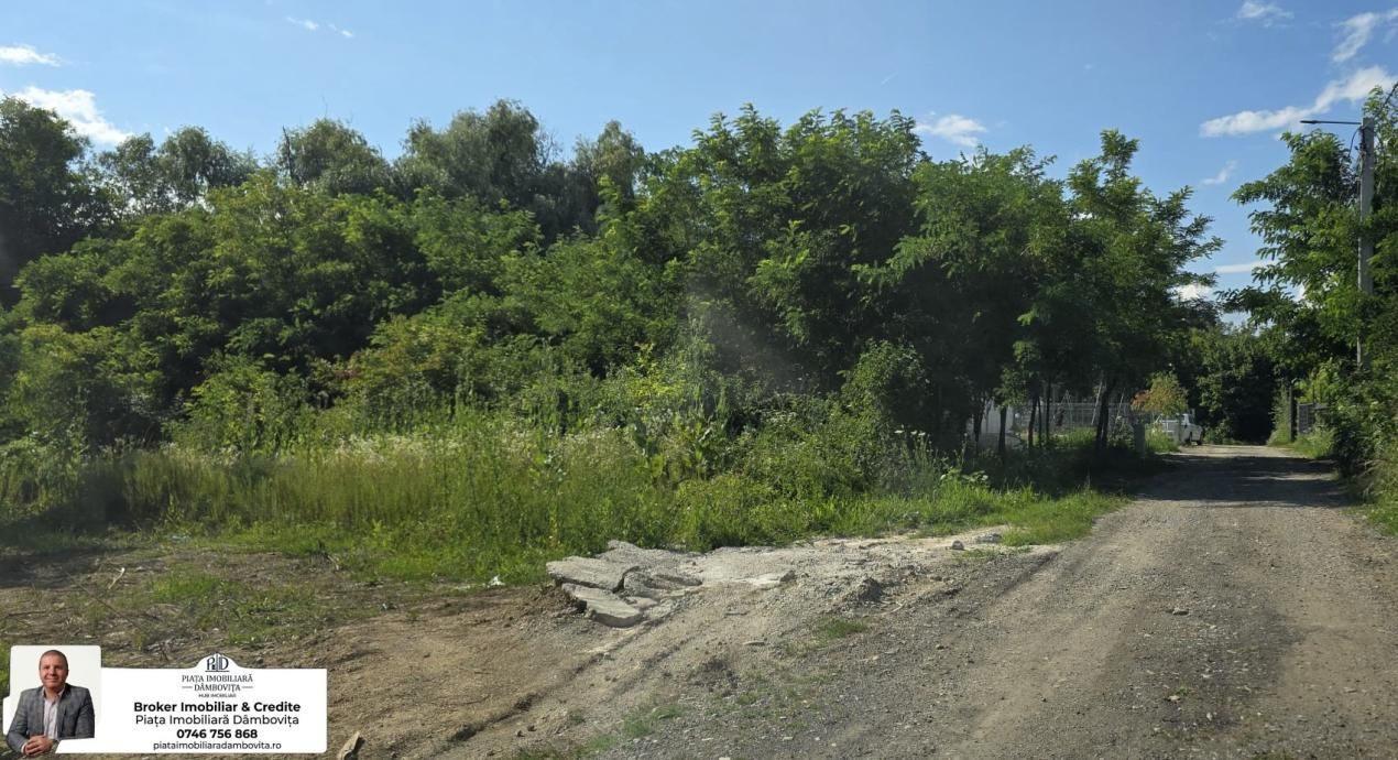 Teren intravilan 670 mp – Viforâta, com. Aninoasa, jud. Dâmbovița – fotografia 1 din 1