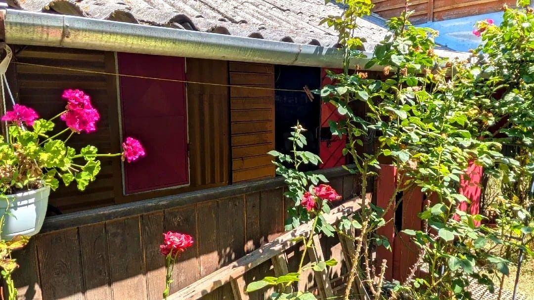 Teren intravilan Tocile, 1.093 mp / livadă, cabană, rulotă și o toamna frumoasă! – fotografia 28 din 37