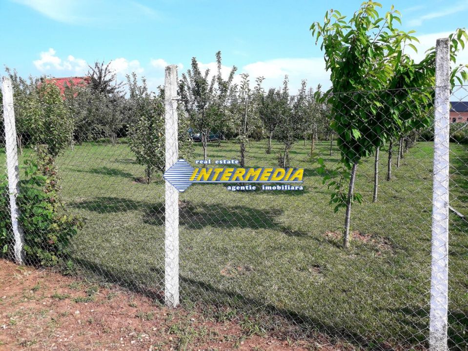 Teren Intravilan 481mp Alba Micesti, utilitati – fotografia 2 din 4
