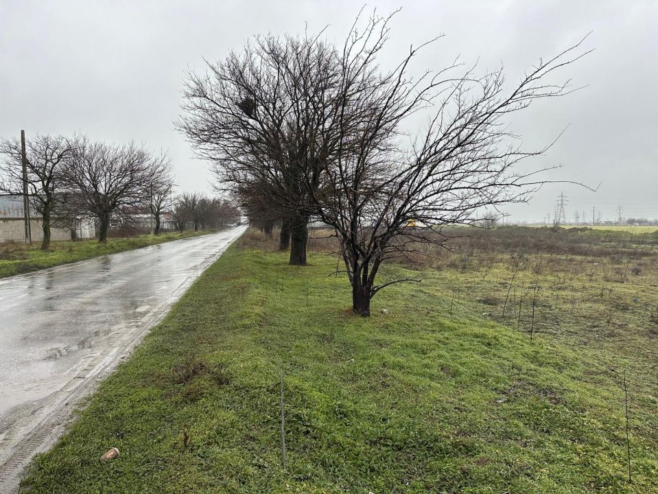 Teren extravilan de vanzare | 21.200 mp | Lumina | Oportunitate de investiție – fotografia 8 din 9