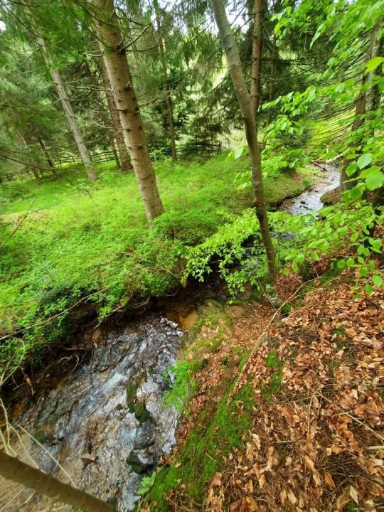 Casă de vacanță spațioasă în Călățele Pădure – Dealul Negru, teren 2000 mp – fotografia 3 din 8
