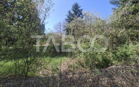 Teren intravilan de vanzare 2700 mp Slimnic Oportunitate investitie