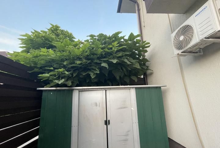 Casa Bragadiru de inchiriat | Curte proprie | Centrala | 2 Parcari – fotografia 3 din 11