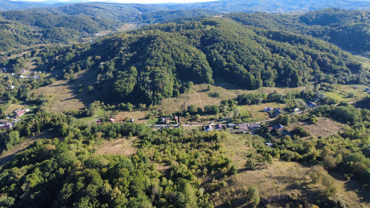 Teren langa padure | domeniu rezidential | actele la zi - de vanzare – fotografia 5 din 6