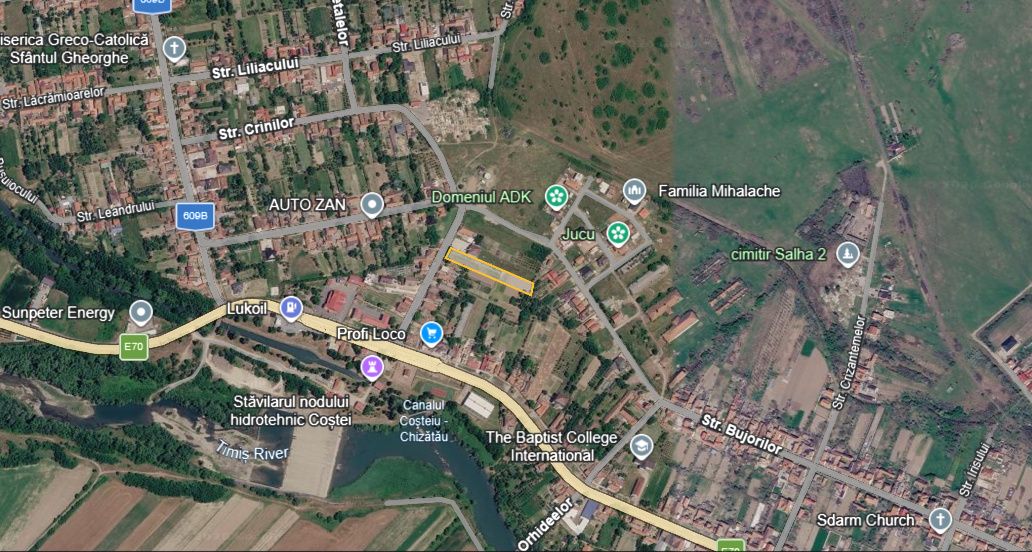 Teren intravilan de vânzare în Coșteiu – fotografia 4 din 4