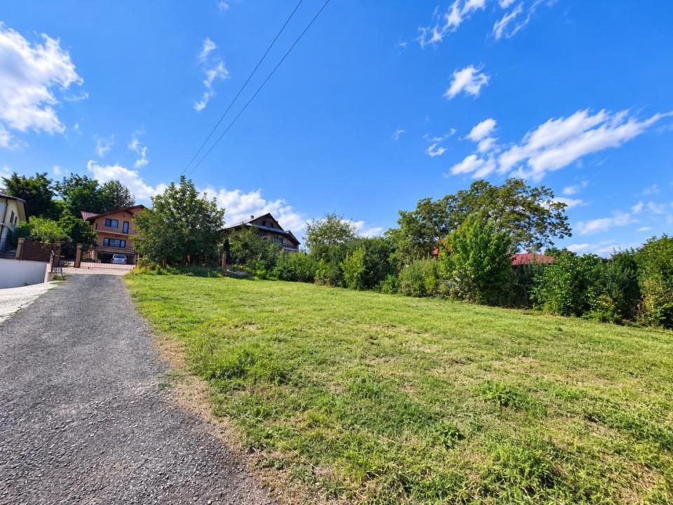 Vânzare Teren Intravilan 640 mp Tudor Neculai Autorizație Casă P+E – fotografia 2 din 10
