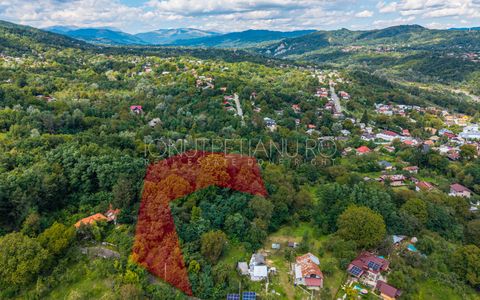 Teren 3.886 mp, Breaza - Podu Vadului, 30 m deschidere la asfalt