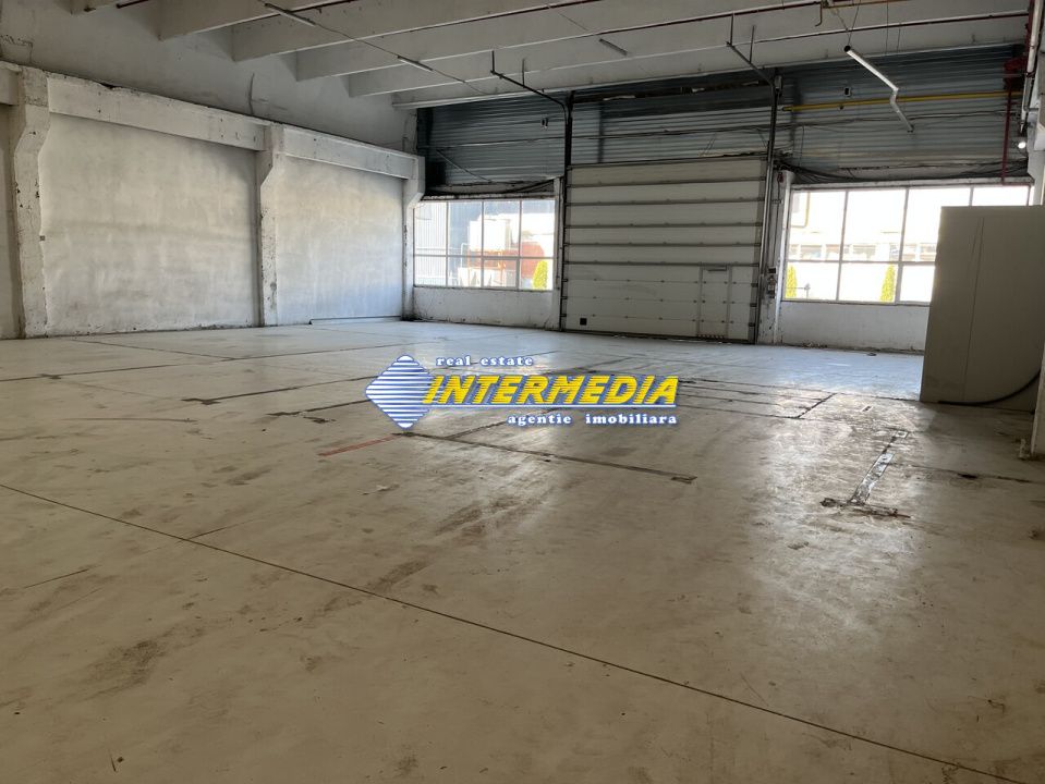 Hale Productie Depozitare Alba Su. de la 1725 mp. - 4000 mp. finisata complet – fotografia 7 din 11