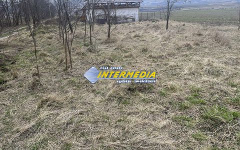 TEREN INTRAVILAN I 800 MP I IGHIU I LATIME 29 ML I IDEAL CASA SAU CABANA I