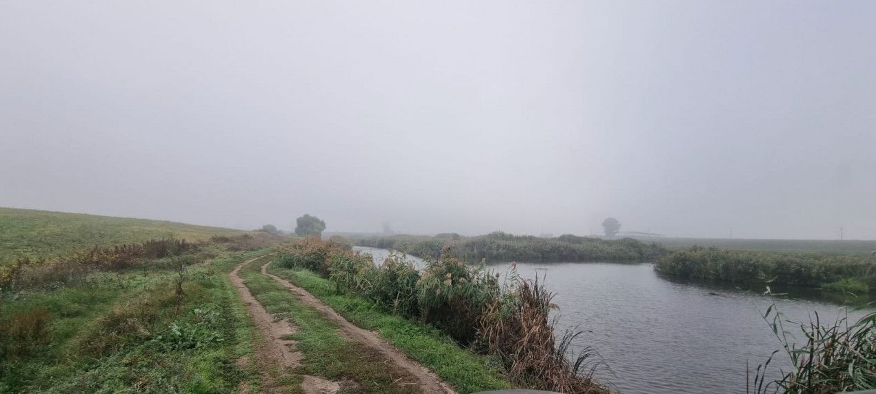 Creata  -  Dascalu teren de vânzare - 7567 mp cu dublu acces lângă lac – fotografia 7 din 11
