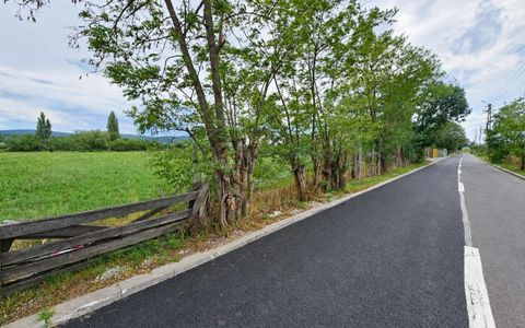 Teren intravilan drept 12.432mp, drum asfalt, utilitati, zona Centura Grigorescu