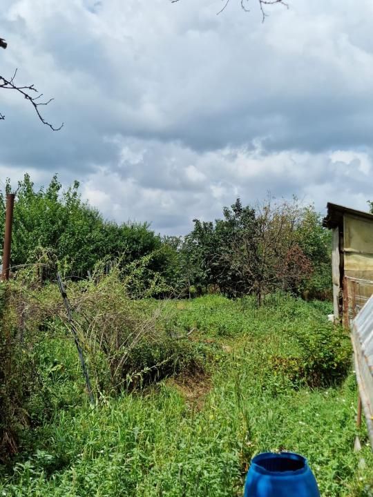 Casă de vânzare în Mircea Vodă + teren 1600 mp – fotografia 17 din 21