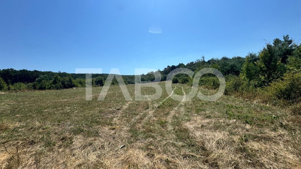 Teren extravilan 2700 mp oportunitate investitie Calea Poplacii Sibiu – fotografia 1 din 3