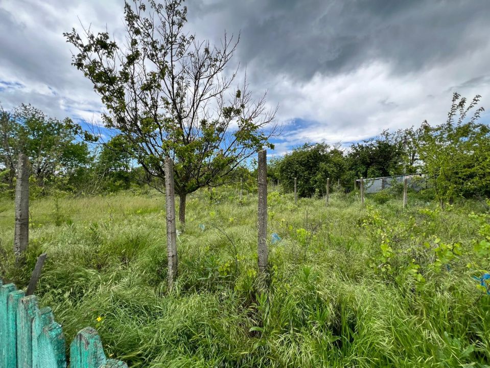 Casă + teren 4430 mp, vie și pomi fructiferi, 22 km de Tecuci – fotografia 14 din 36
