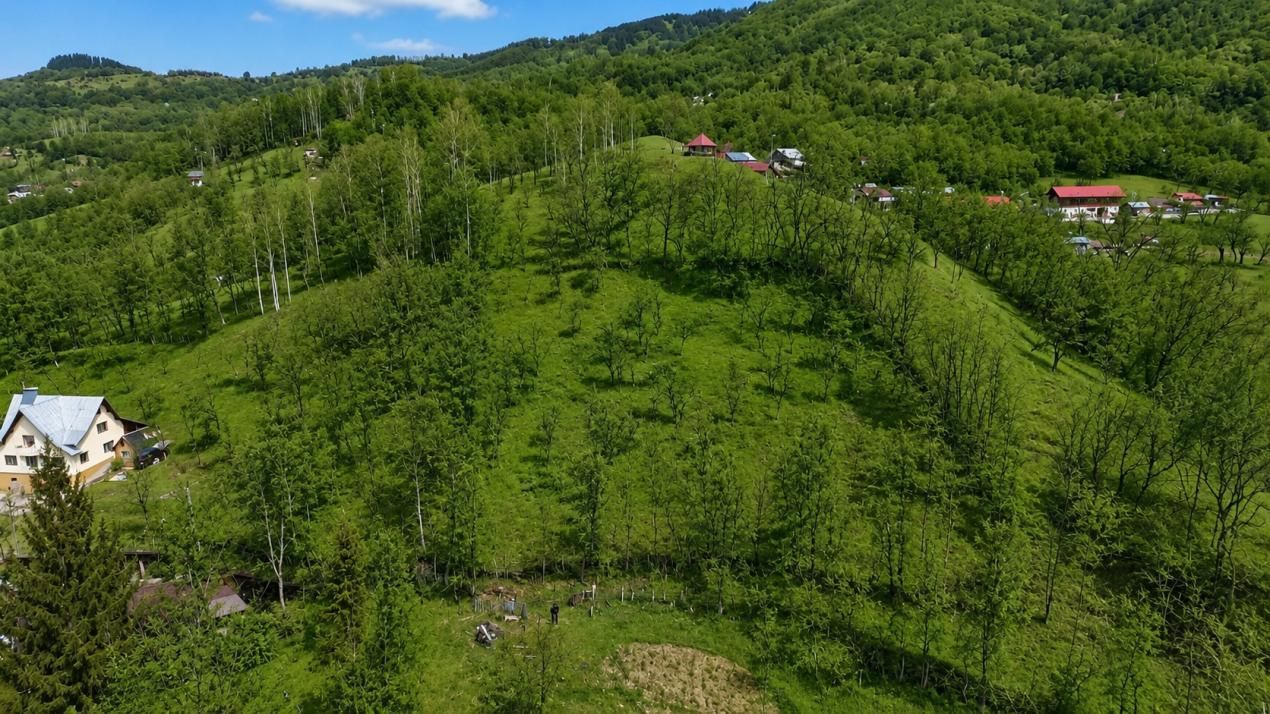 Oportunitate investitie teren  la munte, Prahova | 3.485 mp | View spectaculos – fotografia 1 din 5