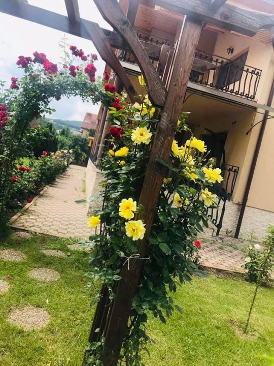 Casa D+P+1 Garaj dublu 2 Terase 925 mp Teren CETATE Kaufland Finisata Mobilata – fotografia 57 din 65