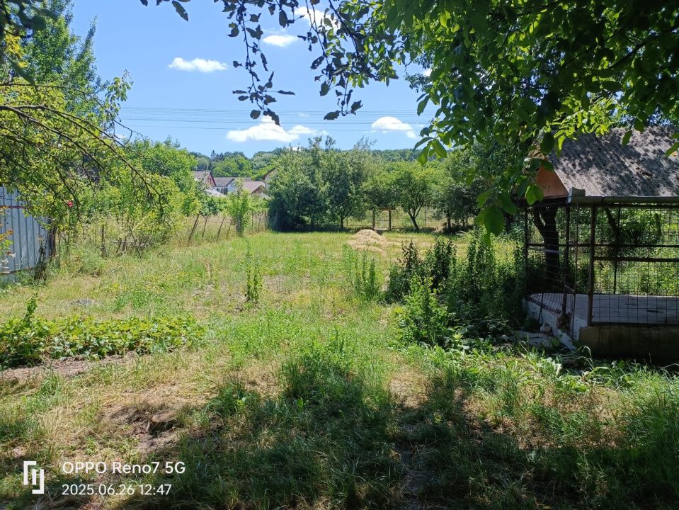 Casă de vânzare sau închiriere cu spațiu comercial Tg Mureș si 13 arii teren – fotografia 12 din 19
