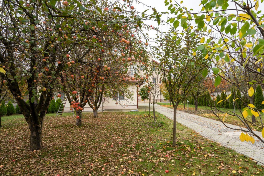 Vilă de excepție în Săftica, Balotești — investiție cu potențial – fotografia 8 din 90